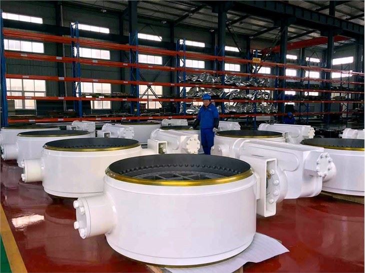 Metal to Metal valve12